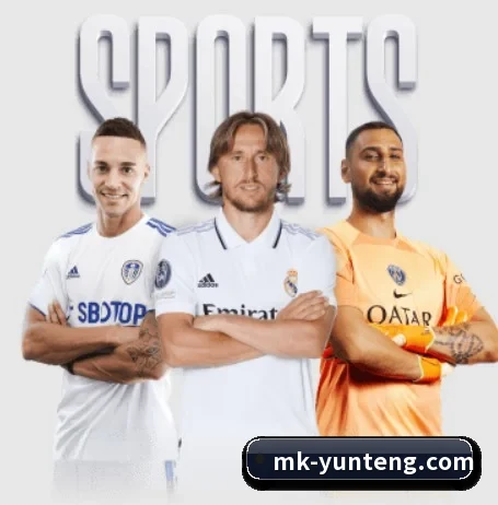 mk体育 APP
